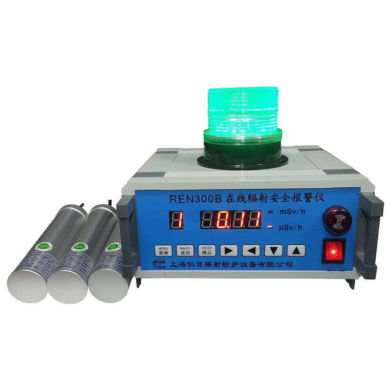 REN300B 固定式辐射仪